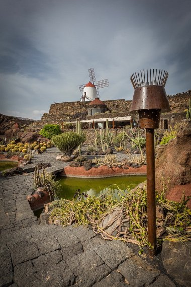 023 Lanzarote, Cactustuin.jpg